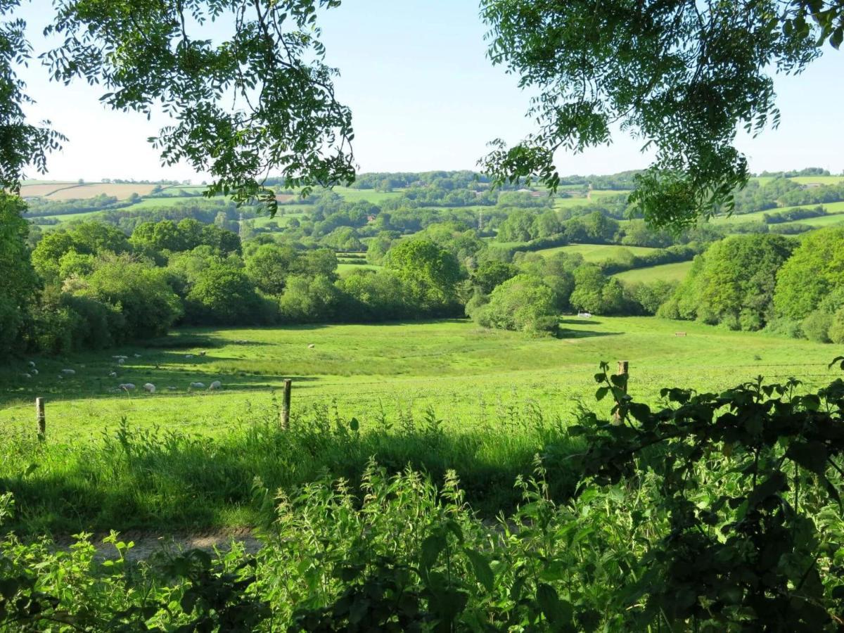 فيلا Meadow Barn أكسمنستر المظهر الخارجي الصورة